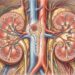Quais são os fatores que dificultam a recuperação renal?