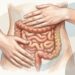 Como melhorar o trânsito intestinal e se sentir mais leve todos os dias?