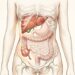 Dor abdominal do lado direito quando manter a calma e quando procurar um médico imediatamente
