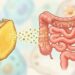 Uma raiz usada para tratar infecções na medicina chinesa antiga é hoje considerada um superalimento que equilibra a microbiota e fortalece a imunidade