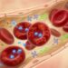 O nutriente que ajuda a prevenir a anemia e mantém a disposição ao longo do dia