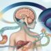 A saúde do sono está ganhando relevância na regulação hormonal e na prevenção de doenças metabólicas