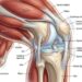 Osteoartrite do joelho: Esses esportes são os mais eficazes para aliviar a dor