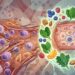 Inflamação crônica: estratégias naturais mais eficazes para combatê-la e melhorar a saúde em casa