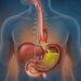 Como desinflamar o intestino e reduzir as cólicas frequentes?