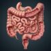 Como equilibrar a flora intestinal e acabar com a prisão de ventre recorrente?