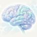 O nutriente que ajuda a prevenir o declínio cognitivo e mantém o raciocínio afiado durante o envelhecimento