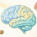 Ômega-3, vitamina D ou magnésio: qual priorizar quando a depressão leve persiste apesar de hábitos saudáveis?