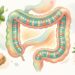 Substâncias naturais que auxiliam na recuperação da mucosa intestinal e onde encontrá-las nos alimentos