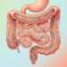 O microbioma intestinal desempenha um papel decisivo na resposta imunológica e na prevenção de doenças autoimunes