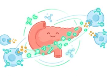 O nutriente que ajuda a prevenir a resistência à insulina e mantém a glicemia estável durante todo o dia
