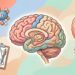 Não é só falta de sono: neurologistas revelam que esquecimento frequente antes dos 50 anos merece atenção