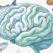Qual é a gordura essencial para um cérebro saudável, segundo especialistas em neurologia?