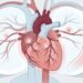 Cardiologista explica: estes são os sintomas de um ataque cardíaco em mulheres