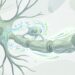 Qual é a vitamina essencial para um sistema nervoso saudável, segundo especialistas em neurologia?