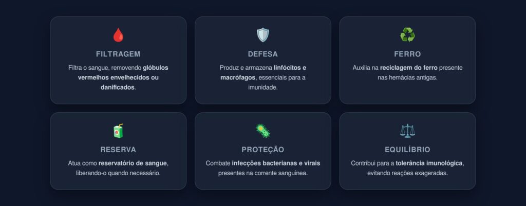 funções do baço