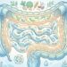 Como manter o intestino funcionando bem por mais tempo? 5 hábitos essenciais para a microbiota