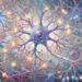 Ao reduzir uma proteína específica, cientistas conseguiram recuperar funções cognitivas em animais idosos.