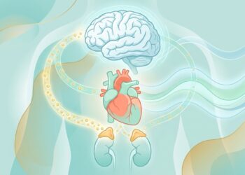 O que é o cortisol elevado e como reduzi-lo
