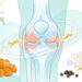 Como a cúrcuma ajuda a aliviar naturalmente inflamações leves nas articulações