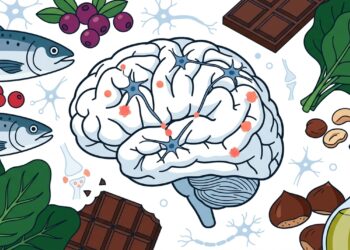 Quais alimentos ajudam a fortalecer o cérebro e a reduzir o declínio cognitivo?