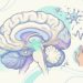 O que é a doença de Parkinson, que afeta principalmente pessoas com mais de 60 anos