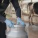 O cuidado com leite cru e animais suspeitos reduz a exposição ao H5N1 em ambientes rurais.