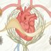 6 sementes nutritivas que ajudam a melhorar a saúde do coração e o controle da glicemia