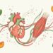 5 vegetais ricos em potássio que ajudam a regular a pressão arterial e a função muscular