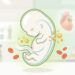 Ácido fólico: como ele melhora a formação celular, o desenvolvimento fetal e a saúde do coração