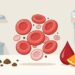 O que é a anemia ferropriva e como identificar os sinais do corpo?