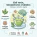 O que o consumo de chá-verde faz ao metabolismo e à saúde do cérebro