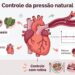 Para regular a pressão arterial, o corpo precisa de potássio, atividade física e controle do estresse
