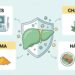 É possível avaliar a saúde do fígado sem exames de imagem e melhorá-la com chá-verde e cúrcuma?