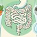 2 hábitos para uma microbiota intestinal saudável