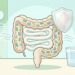 Seis maneiras simples de melhorar sua saúde intestinal