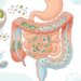 Como a chia e o iogurte natural afetam a saúde intestinal, segundo a ciência