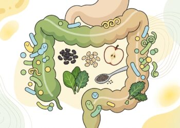 Fibras e microbiota: por que o benefício não depende de um único alimento milagroso