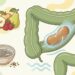 Como a chia ajuda a melhorar o funcionamento do intestino?