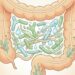 Como promover a saúde intestinal: Bebidas e dicas para uma melhor digestão