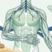 Faz sentido tomar magnésio como suplemento para melhorar o relaxamento muscular e o sono?