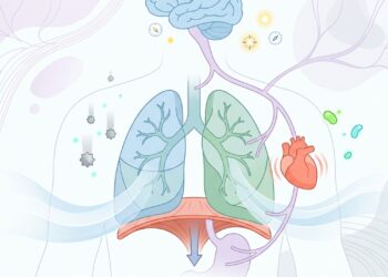 Qual maneira de respirar protege o sistema nervoso e qual o sobrecarrega?