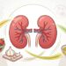 Saúde renal: 6 alimentos que fortalecem a função dos rins