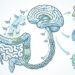 A serotonina pode afetar o humor, o sono, o apetite e até mesmo a saúde do intestino
