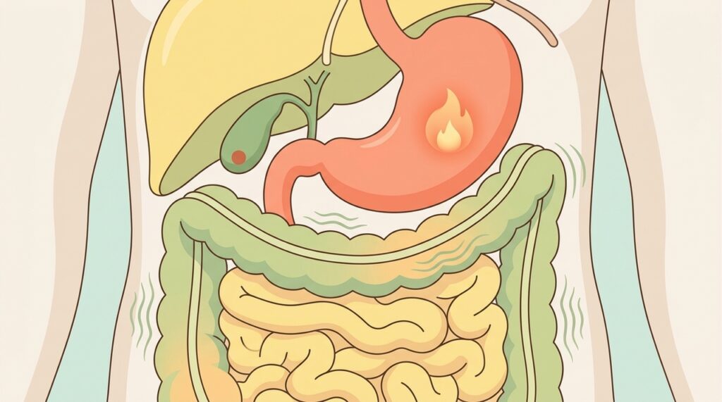 Dor abdominal recorrente: causas, tratamento e quando consultar um médico