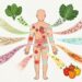 7 vegetais que ajudam a prevenir a inflamação crônica no corpo