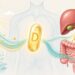 A falta de vitamina D no organismo não se deve à falta de sol, mas sim a problemas digestivos crônicos como inflamação intestinal ou irritação do fígado