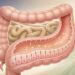 Como o jejum noturno prolongado (12-14h) afeta a renovação das células intestinais e reduz a inflamação sistêmica