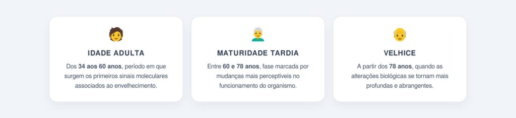 Quais são as três fases da vida adulta?