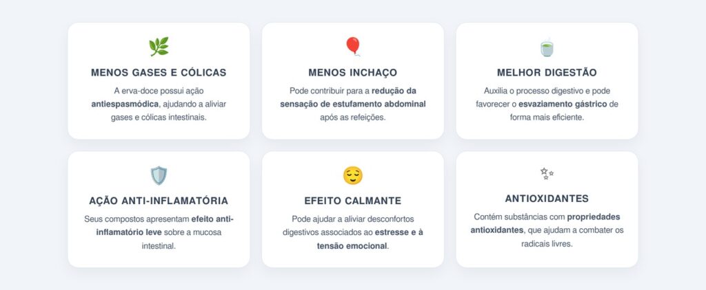 Quais benefícios a erva-doce oferece para a saúde?